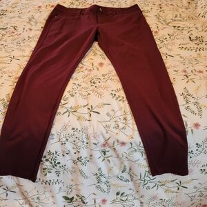 Soho burgundy pants